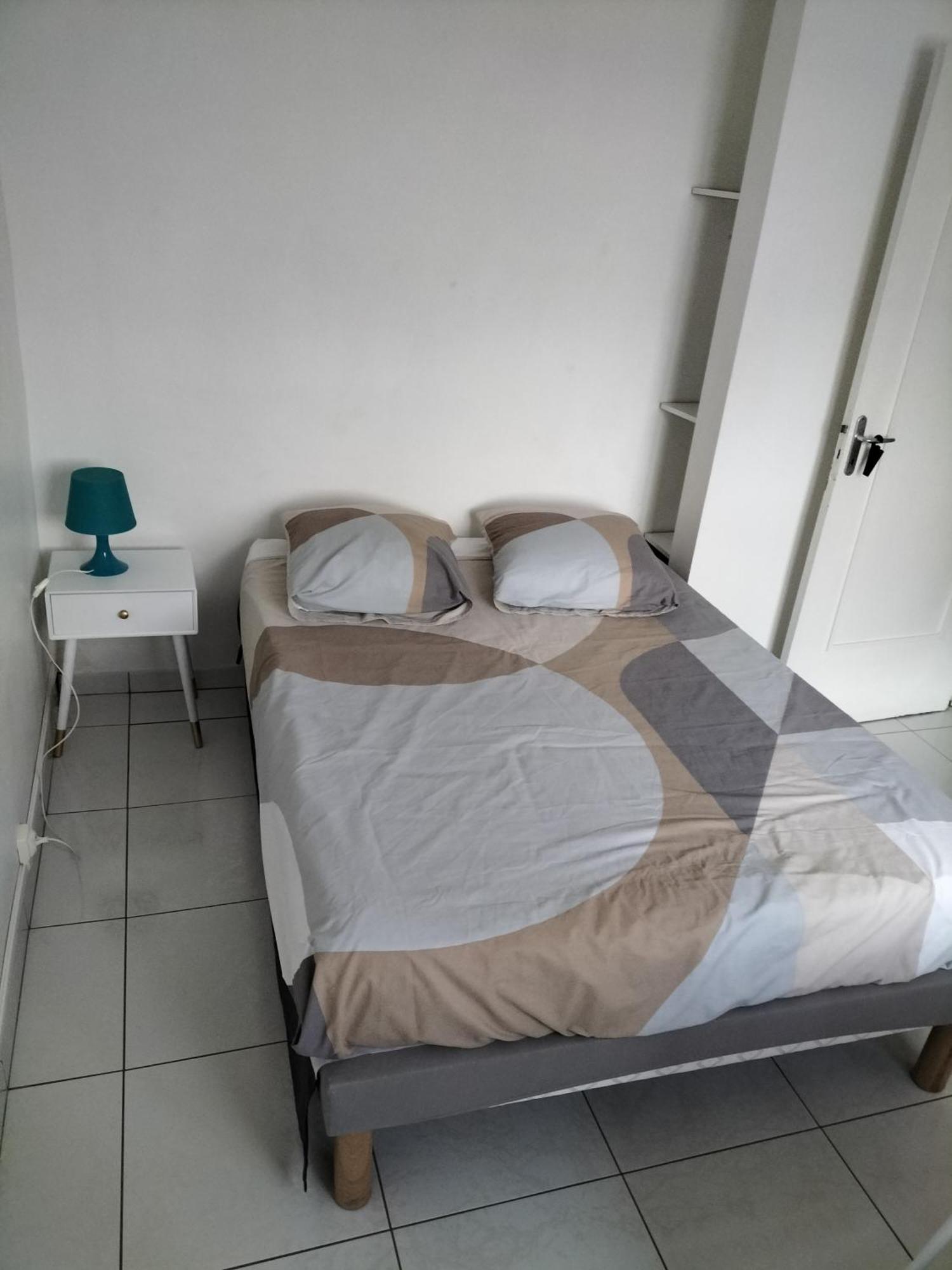 ליון Joli Appartement Proche Metro מראה חיצוני תמונה